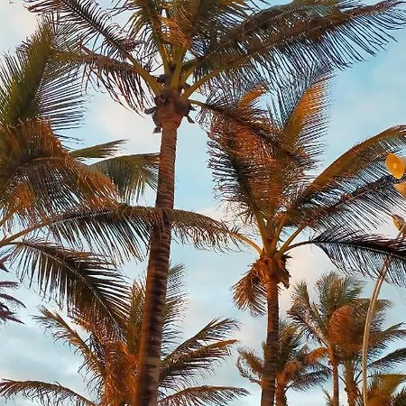 Doranda Canteras Gæstehus Las Palmas de Gran Canaria